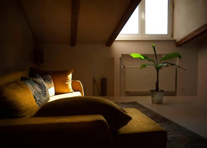 Caly Apartament